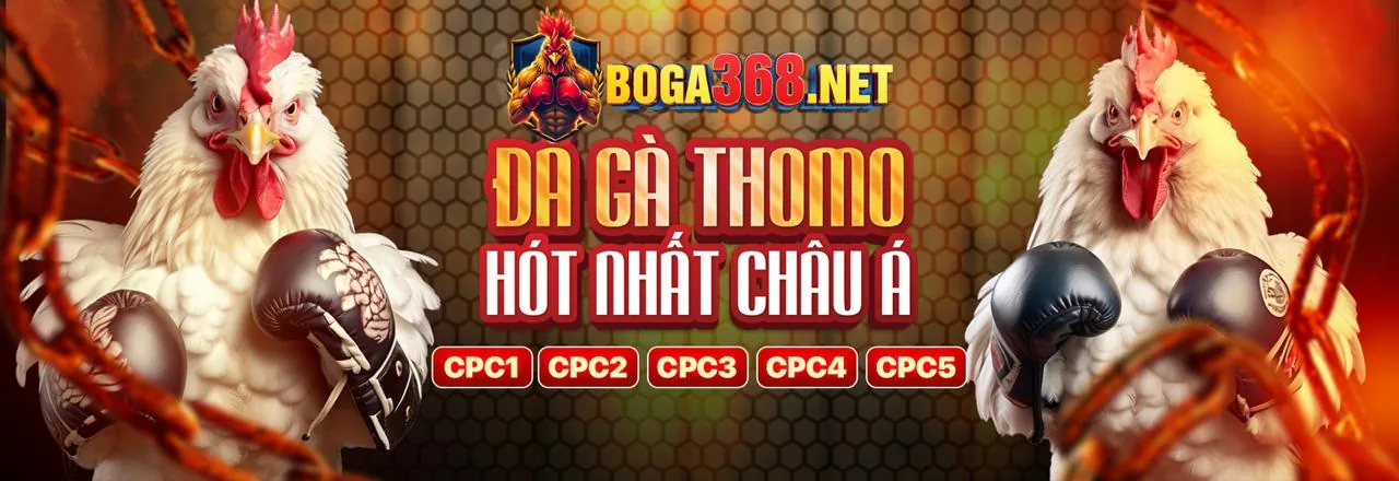 Hình ảnh minh họa dịch vụ hỗ trợ khách hàng của Subet